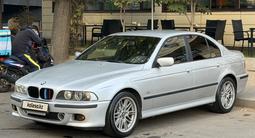 BMW 525 2001 года за 5 000 000 тг. в Алматы – фото 4