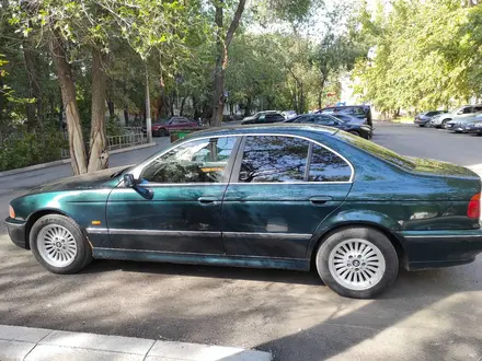 BMW 520 1997 года за 2 900 000 тг. в Павлодар – фото 12