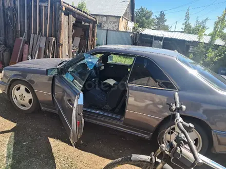 Mercedes-Benz E 200 1995 года за 1 750 000 тг. в Павлодар – фото 8