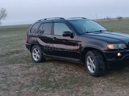 BMW X5 2001 года за 3 850 000 тг. в Алматы – фото 4