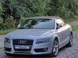 Audi A5 2010 года за 25 000 000 тг. в Алматы