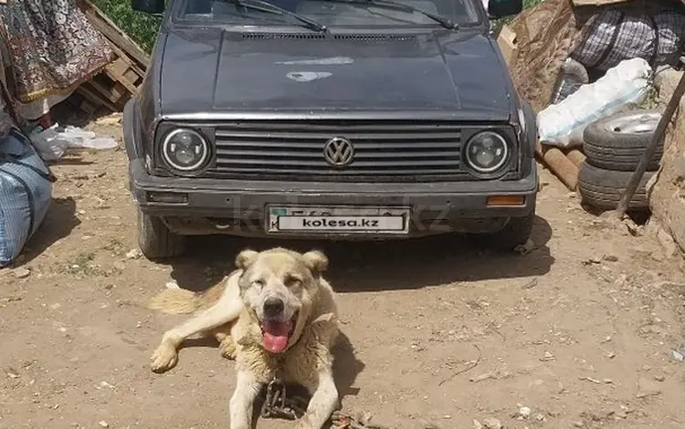 Volkswagen Golf 1991 года за 700 000 тг. в Астана