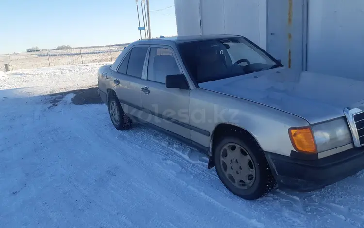 Mercedes-Benz E 200 1987 годаfor1 400 000 тг. в Новоишимский