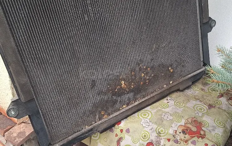 Радиатор основной водяной за 10 000 тг. в Алматы