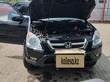 Honda CR-V 2003 года за 6 700 000 тг. в Петропавловск – фото 2