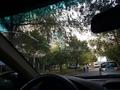 На выезд реставрация авто стекол круглосуточно в Алматы – фото 123
