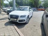 Audi Q5 2011 года за 7 800 000 тг. в Алматы