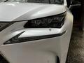 Lexus NX 200t 2015 года за 14 150 000 тг. в Семей – фото 11