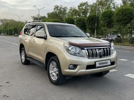 Toyota Land Cruiser Prado 2009 года за 17 800 000 тг. в Алматы