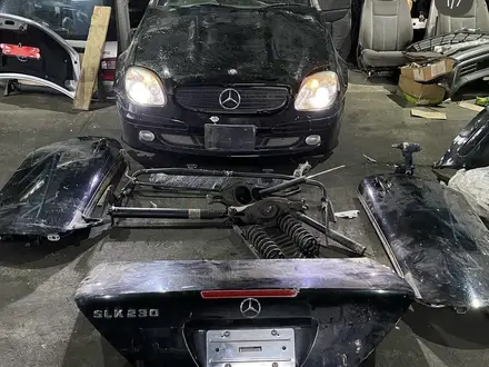 SLK230 ноускат R170 за 200 000 тг. в Алматы