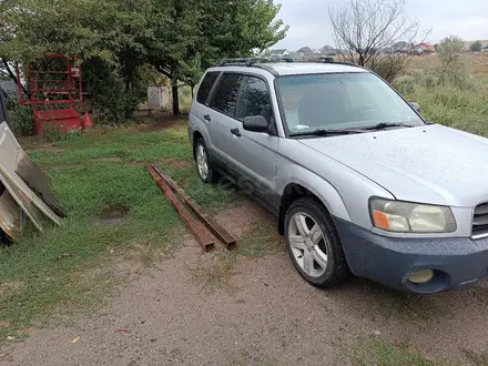 Subaru Forester 2002 года за 3 150 000 тг. в Алматы – фото 2