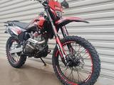 Regulmoto  Sport-003 PR Pro 300 (5 gear) 2026 годаfor394 227 тг. в Алматы – фото 2