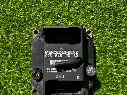 Вито Виано в Алматы – фото 97