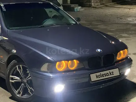 BMW 525 2003 года за 4 500 000 тг. в Туркестан – фото 25