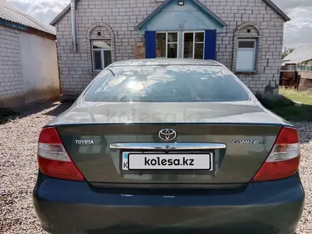 Toyota Camry 2003 года за 4 400 000 тг. в Актобе – фото 2