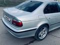 BMW 525 2000 годаүшін3 400 000 тг. в Талдыкорган – фото 27