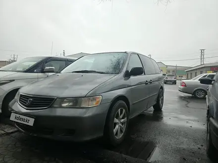 Honda Odyssey 2001 года за 4 600 000 тг. в Тараз – фото 3