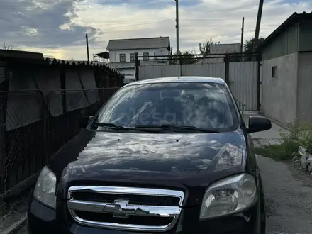 Chevrolet Aveo 2011 года за 3 000 000 тг. в Уштобе