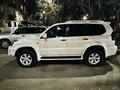 Toyota Land Cruiser Prado 2007 года за 13 222 222 тг. в Алматы – фото 2