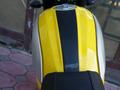 Ducati  SCRAMBLER ICON 2016 года за 2 790 000 тг. в Шымкент – фото 23