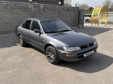 Toyota Corolla 1995 года за 2 250 000 тг. в Алматы – фото 2