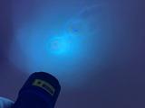 TEMIRSCANNING в Алматы