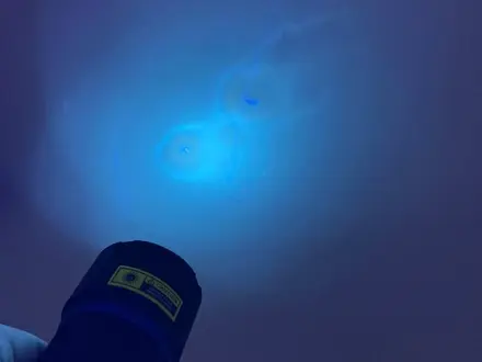 TEMIRSCANNING в Алматы