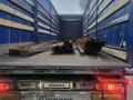 DAF  95XF 2001 года за 17 000 000 тг. в Алматы – фото 14