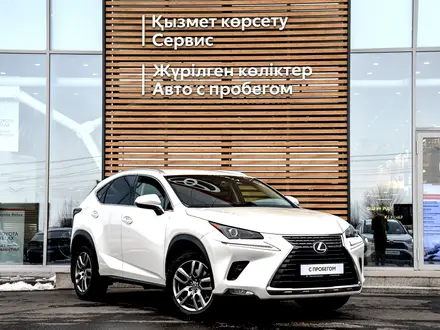 Lexus NX 300 2018 года за 16 990 000 тг. в Тараз – фото 16