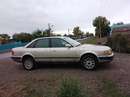 Audi 100 1994 года за 1 850 000 тг. в Зайсан – фото 3