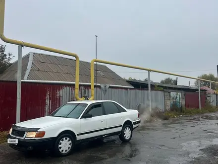 Audi 100 1992 года за 1 300 000 тг. в Талдыкорган