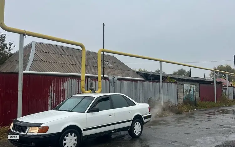 Audi 100 1992 года за 1 300 000 тг. в Талдыкорган