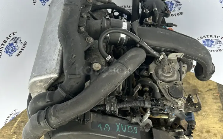 XUD9 двигатель 1.9d Peugeot 205, 305, 306, 309, 405, 406, Citroen BX, ZX, X за 299 000 тг. в Алматы