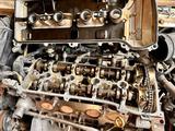 Мотор 2AZ-fe Toyota Alphard (тойота альфард) 2.4 л Двигатель за 150 800 тг. в Алматы