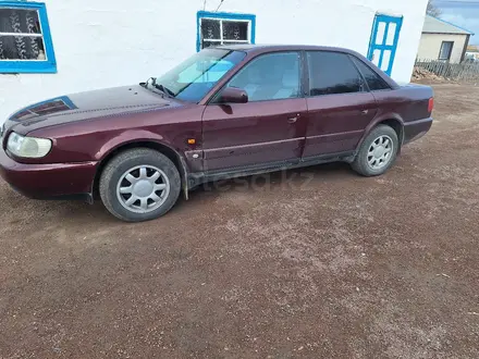 Audi A6 1995 года за 2 400 000 тг. в Караганда – фото 4