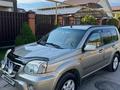 Nissan X-Trail 2002 года за 4 500 000 тг. в Алматы