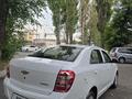 Chevrolet Cobalt 2024 года за 5 800 000 тг. в Тараз – фото 2