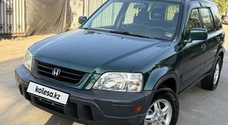 Honda CR-V 1999 года за 5 100 000 тг. в Алматы