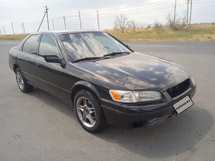 Toyota Camry 1998 года за 2 900 000 тг. в Тараз – фото 3