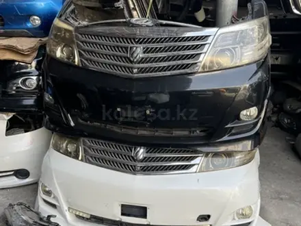 Ноускат на alphard за 300 000 тг. в Алматы