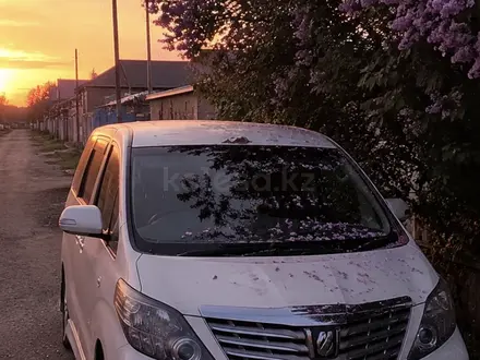 Toyota Alphard 2010 года за 6 000 000 тг. в Атырау – фото 11