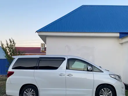 Toyota Alphard 2010 года за 6 000 000 тг. в Атырау – фото 71