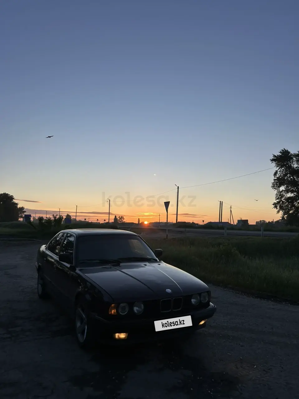 BMW 5 Series, 1991
