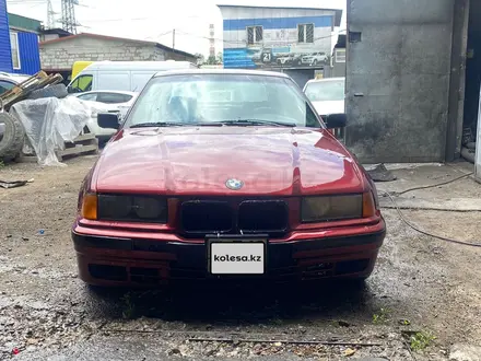 BMW 323 1994 года за 2 250 000 тг. в Алматы – фото 2