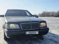 Mercedes-Benz S 300 1996 годаfor2 900 000 тг. в Аксай – фото 8