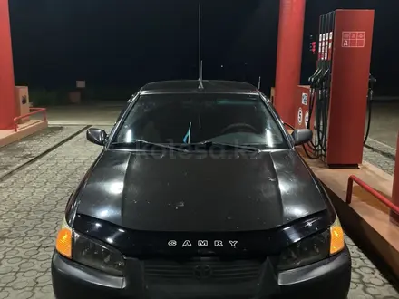 Toyota Camry 2001 года за 3 000 000 тг. в Шемонаиха