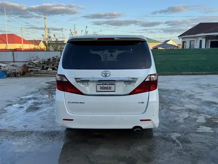 Toyota Alphard 2010 года за 6 300 000 тг. в Атырау – фото 5