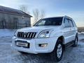 Toyota Land Cruiser Prado 2005 года за 12 500 000 тг. в Павлодар – фото 22
