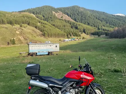 Suzuki  V-Strom DL 1000 2012 года за 2 200 000 тг. в Алматы – фото 12