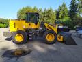 LGZT  xcmg lw300fn lw 300 fn 1.8куб 3тонн 92kw 125лс 2021 года за 12 990 000 тг. в Актау – фото 71